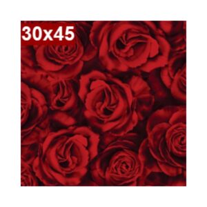 Saco de Presente c/50 30x45 Rosas Verm Gala R-337