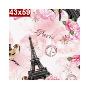 Saco de Presente c/50 43x59 Paris Gala R-364