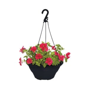 Vaso P/Pendurar Red Preto ,6L Injeplastec R-401