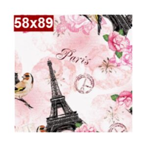 Saco de Presente c/25 58x89 Paris Gala R-364