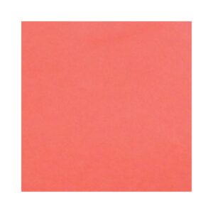 Emborrachado Comum VM Claro 40x47 C/10 Dubflex