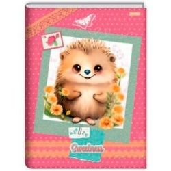 Cad Broch Univ CD Jandaia 80F C/5 CX/ Sweetness