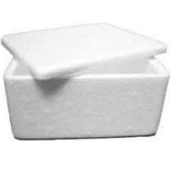 Caixa de Isopor Térmica 250g Amazontermica