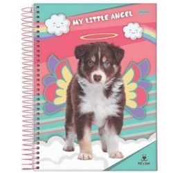 Cad Esp CD 1x1 80F Pet Fsc Jandaia (PCT/4 CX/8)