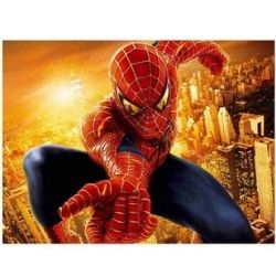 Papel de parede Ads Homen Aranha 45x10m DAC 4632